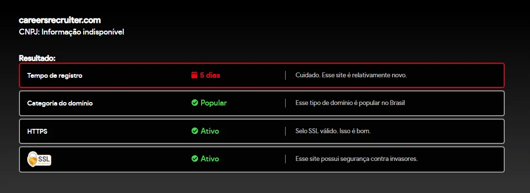 Falso recrutador usa clone do Google Careers para aplicar golpe — imagem 4